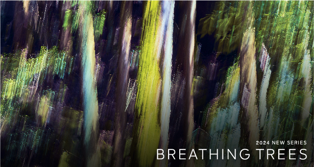BREATHING TREES
