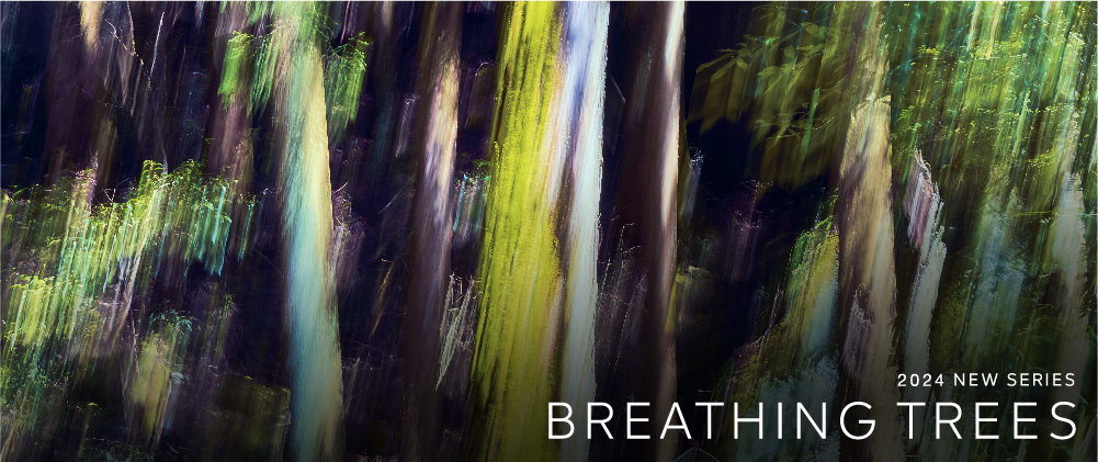 BREATHING TREES