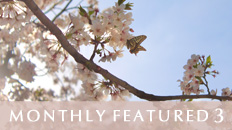 Monthly Featured