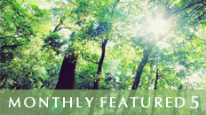 Monthly Featured