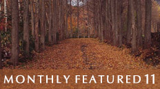 Monthly Featured