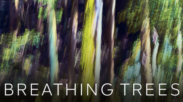 BREATHING TREES