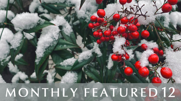 Monthly Featured