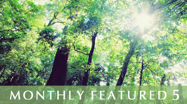 Monthly Featured