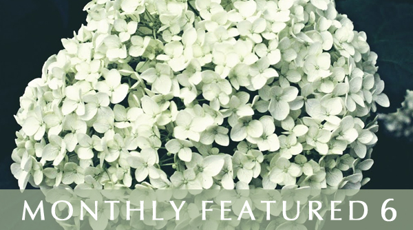 Monthly Featured