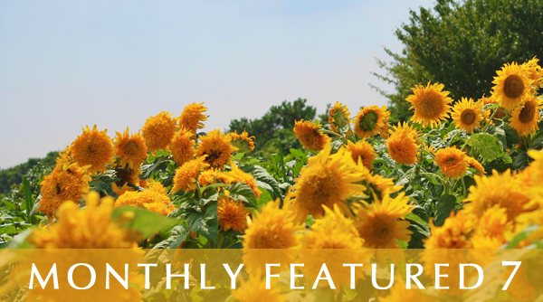 Monthly Featured