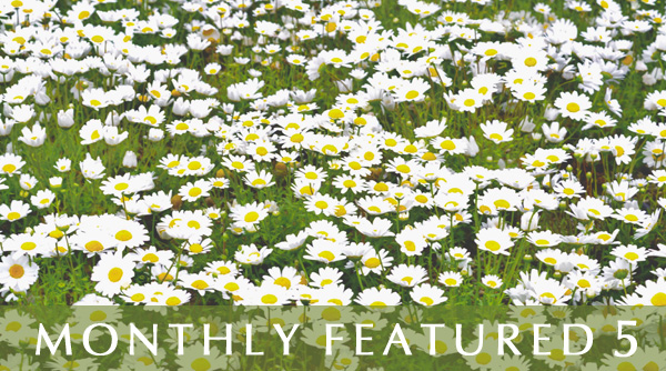 Monthly Featured